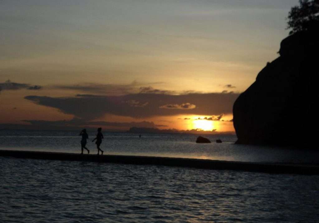 jungel-zuid-thailand