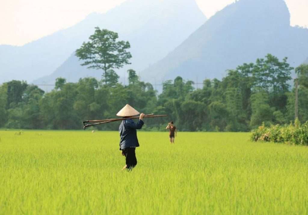 travel-rumors-varen-mekongdelta