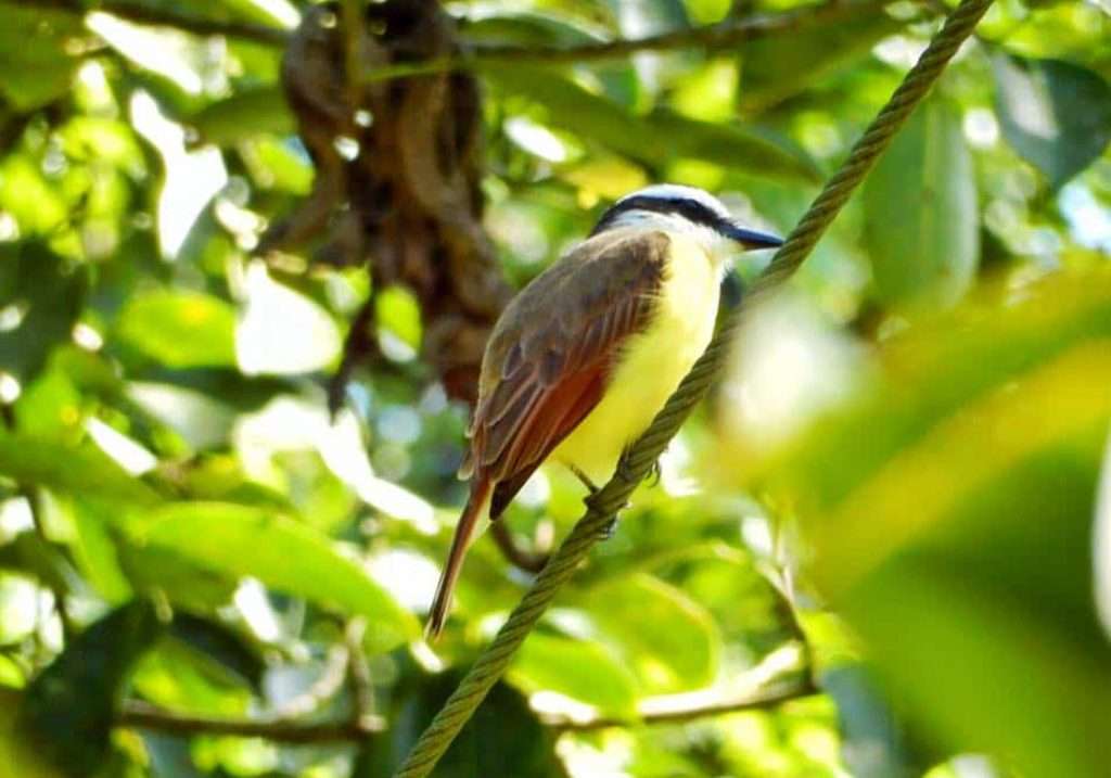 travel-guide-costa-rica