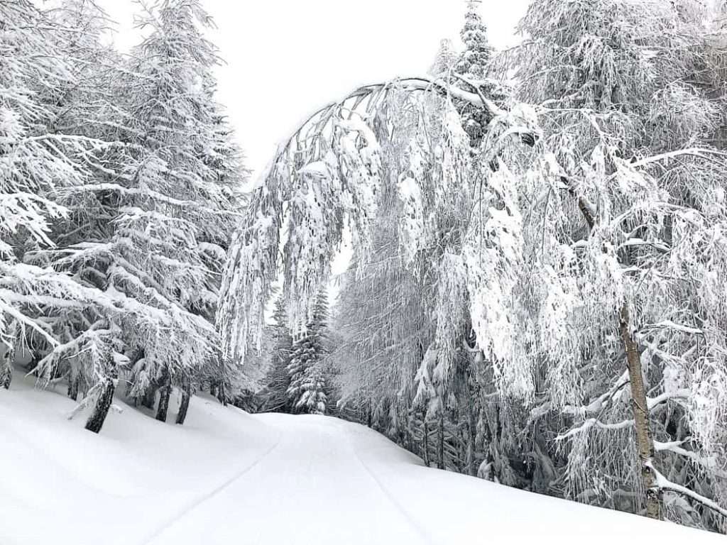 la-rosiere-frankrijk