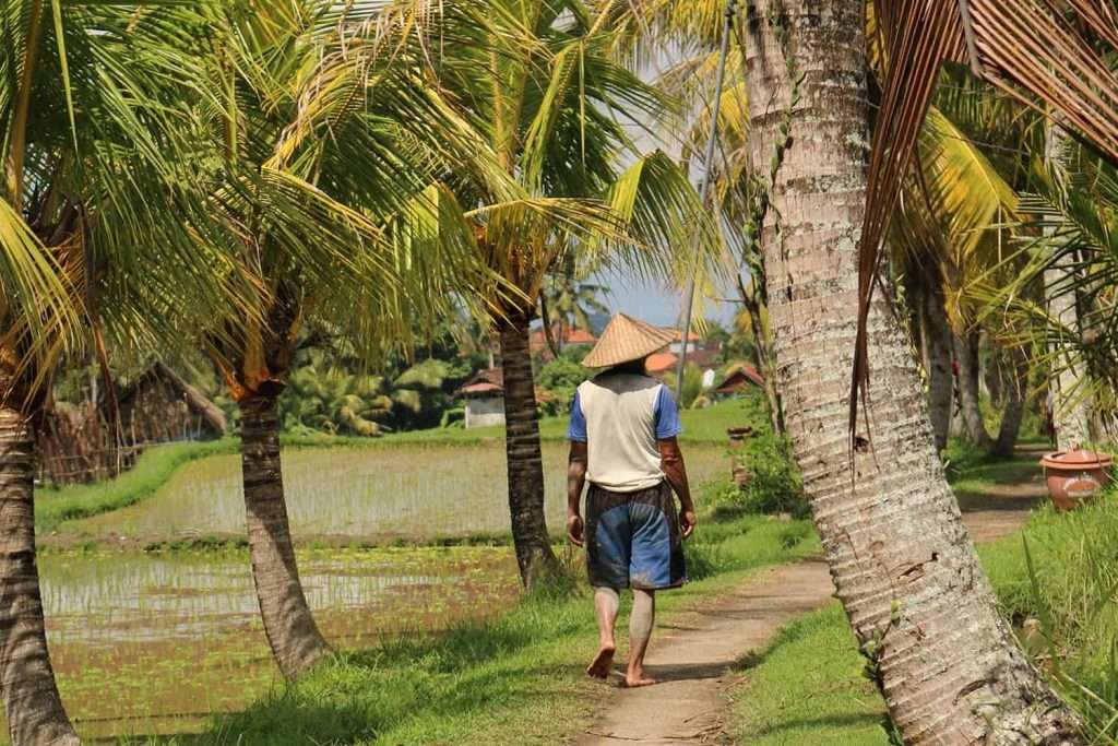 ubud-travel-rumors