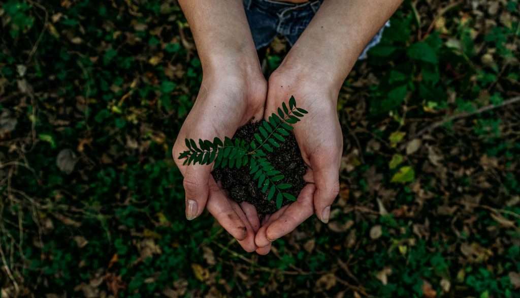 Ecotoerisme
