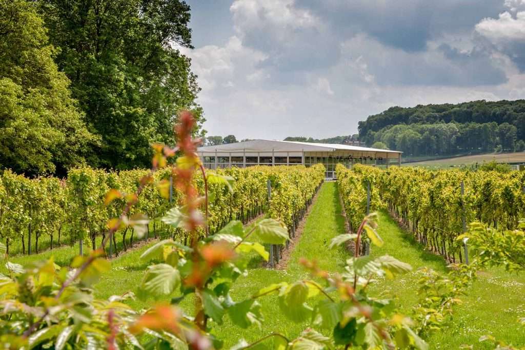 Wijnrestaurant-op-het-land