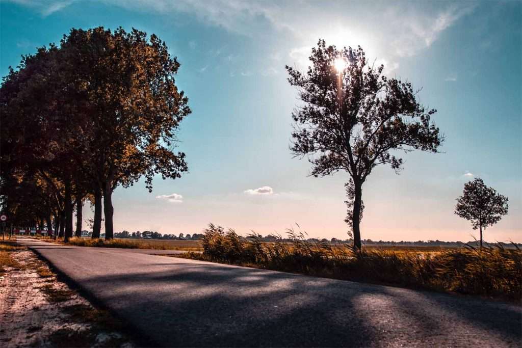 Landweg langs bomen en open velden in de zon