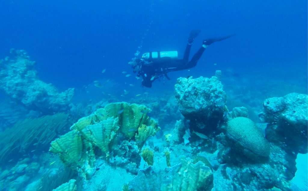 Bonaire-duiken