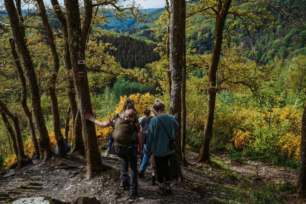 laddertjes-wandeling-belgie