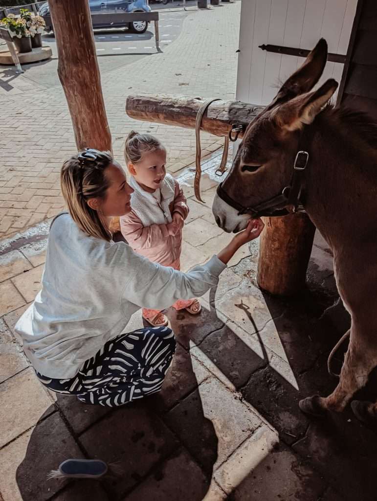 Weekend Terschelling met kinderen; leuke activiteiten