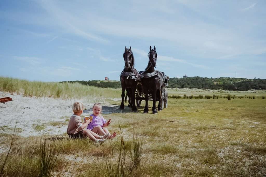 paardenrit-terschelling