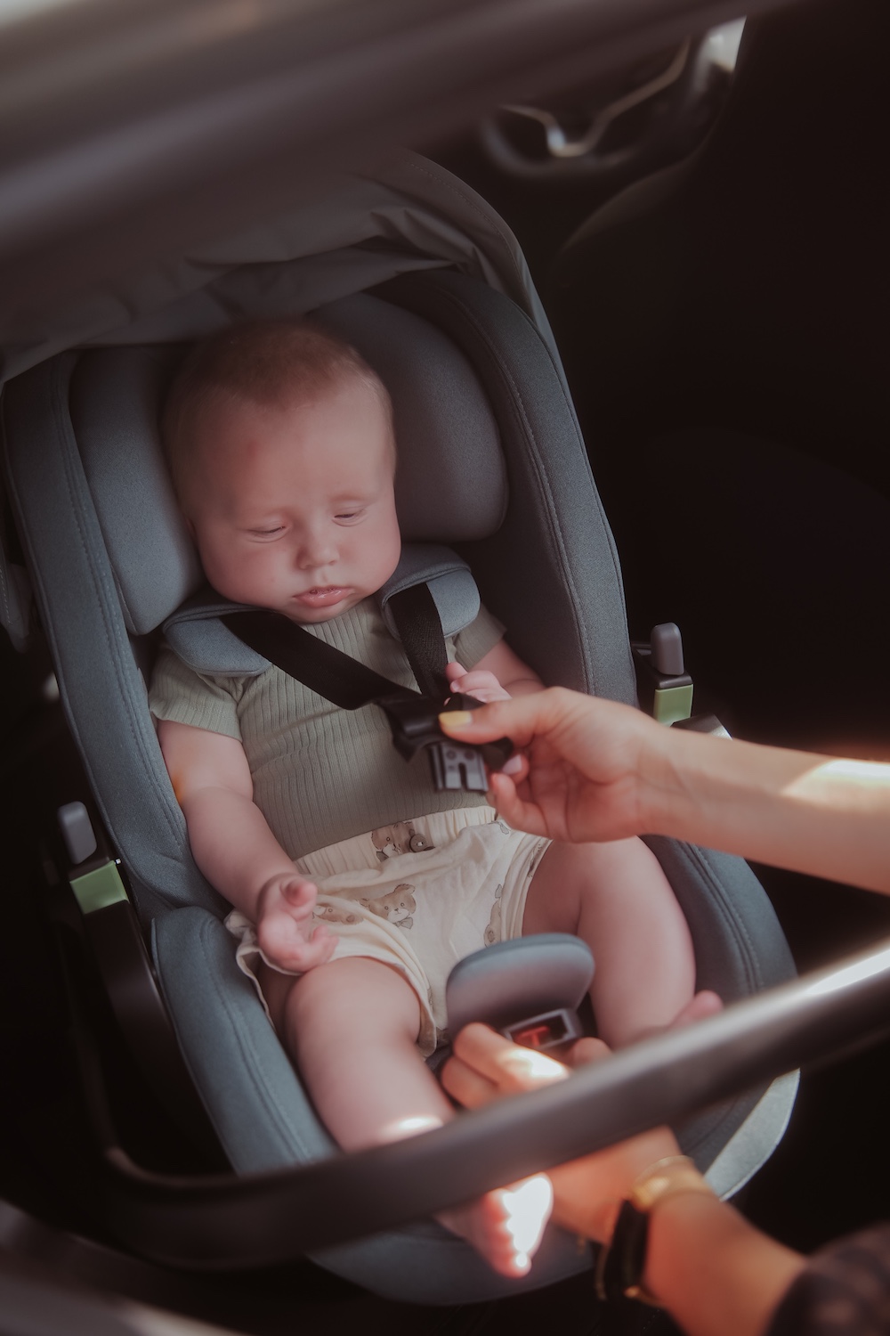 Thule autostoel Maple en Alfi