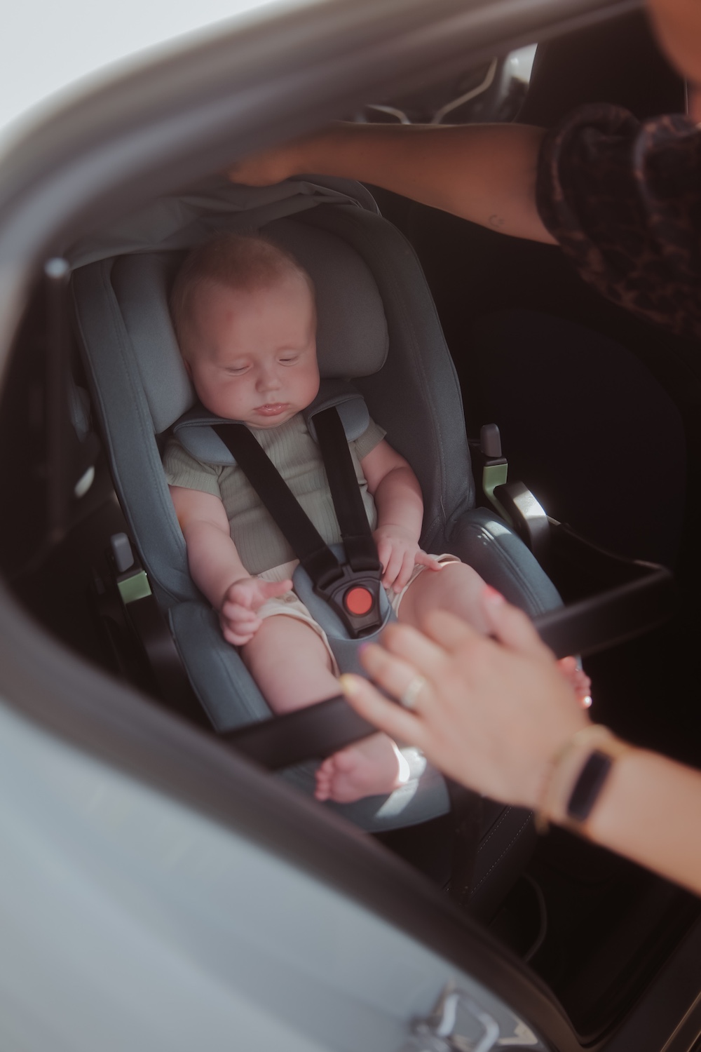 Thule autostoel Maple en Alfi