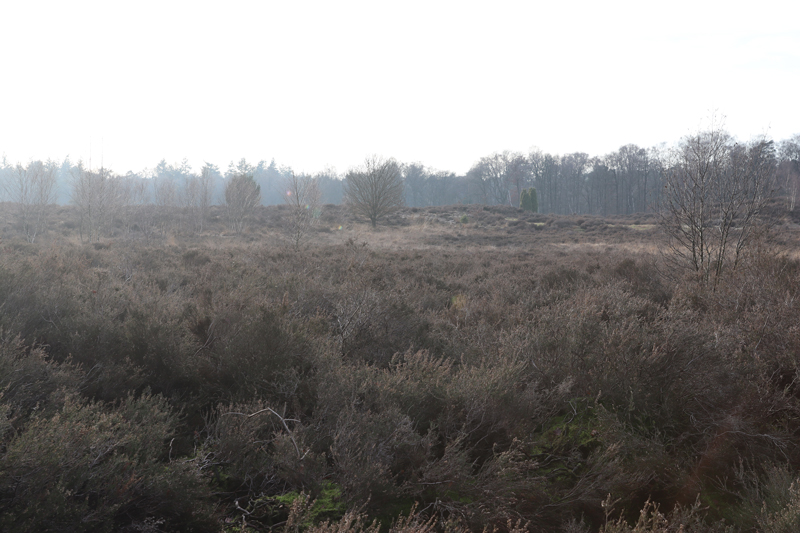 Landal Amerongse Berg: onze ervaring!
