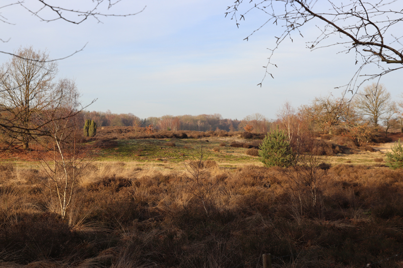 Landal Amerongse Berg: onze ervaring!