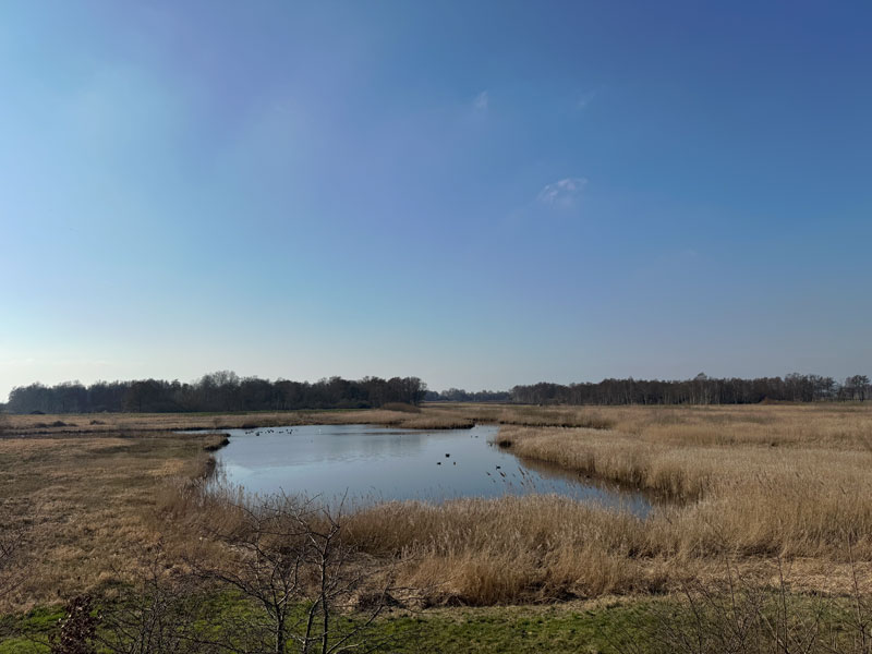 Wellness huisjes aan het water in Overijssel
