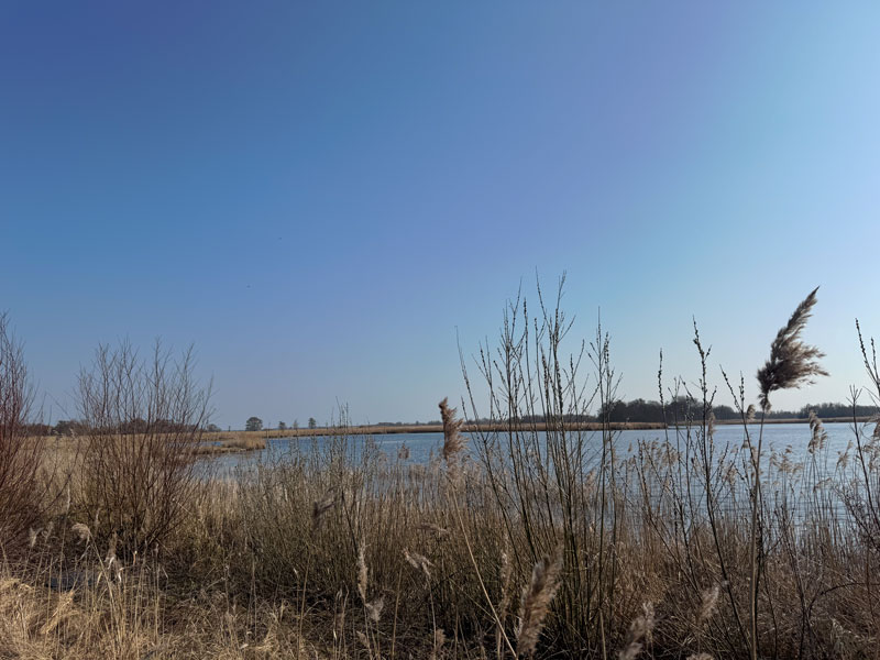 Wellness huisjes aan het water in Overijssel