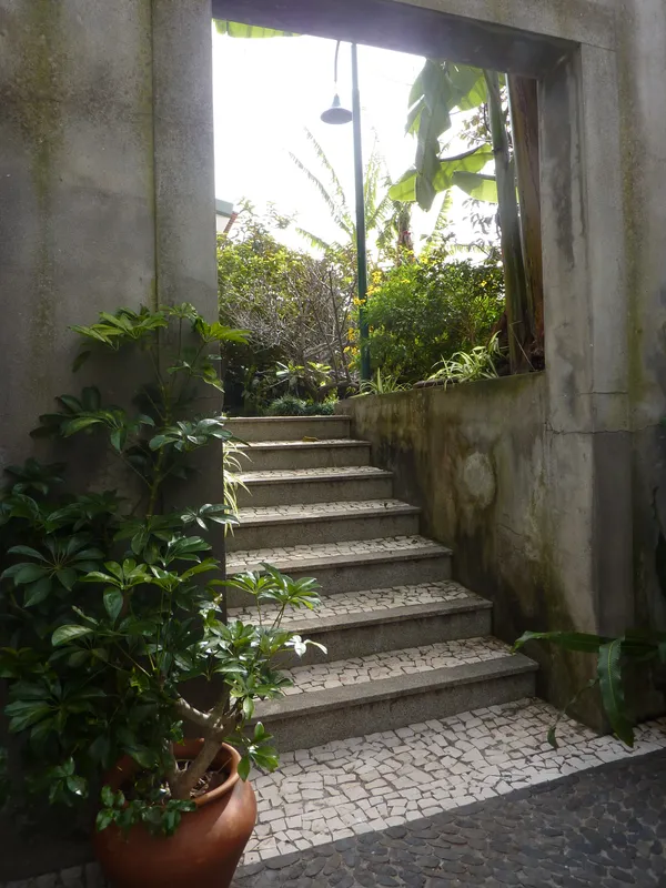 Botanische tuin in Funchal op Madeira
