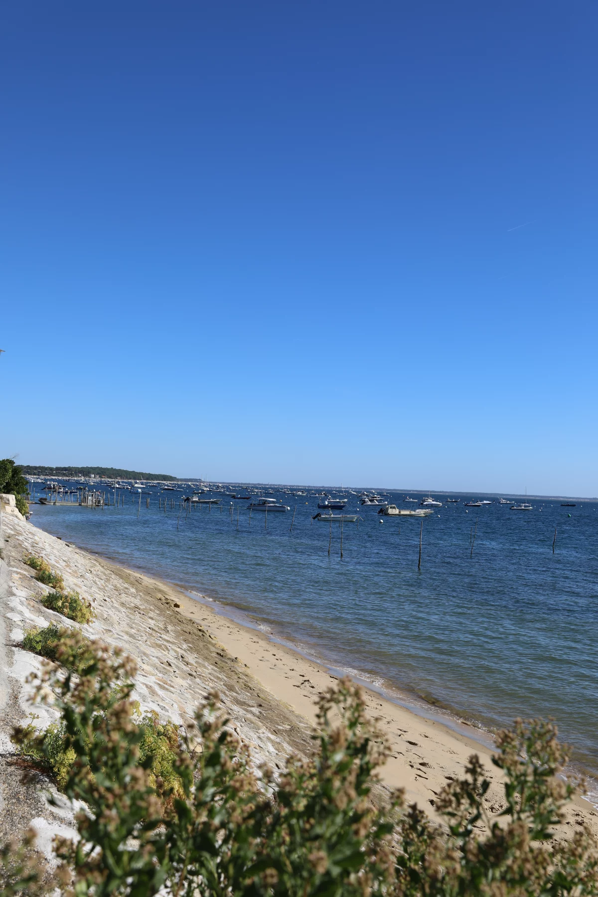 Zandige kust en blauw water aan de binnenkant van Cap Ferret