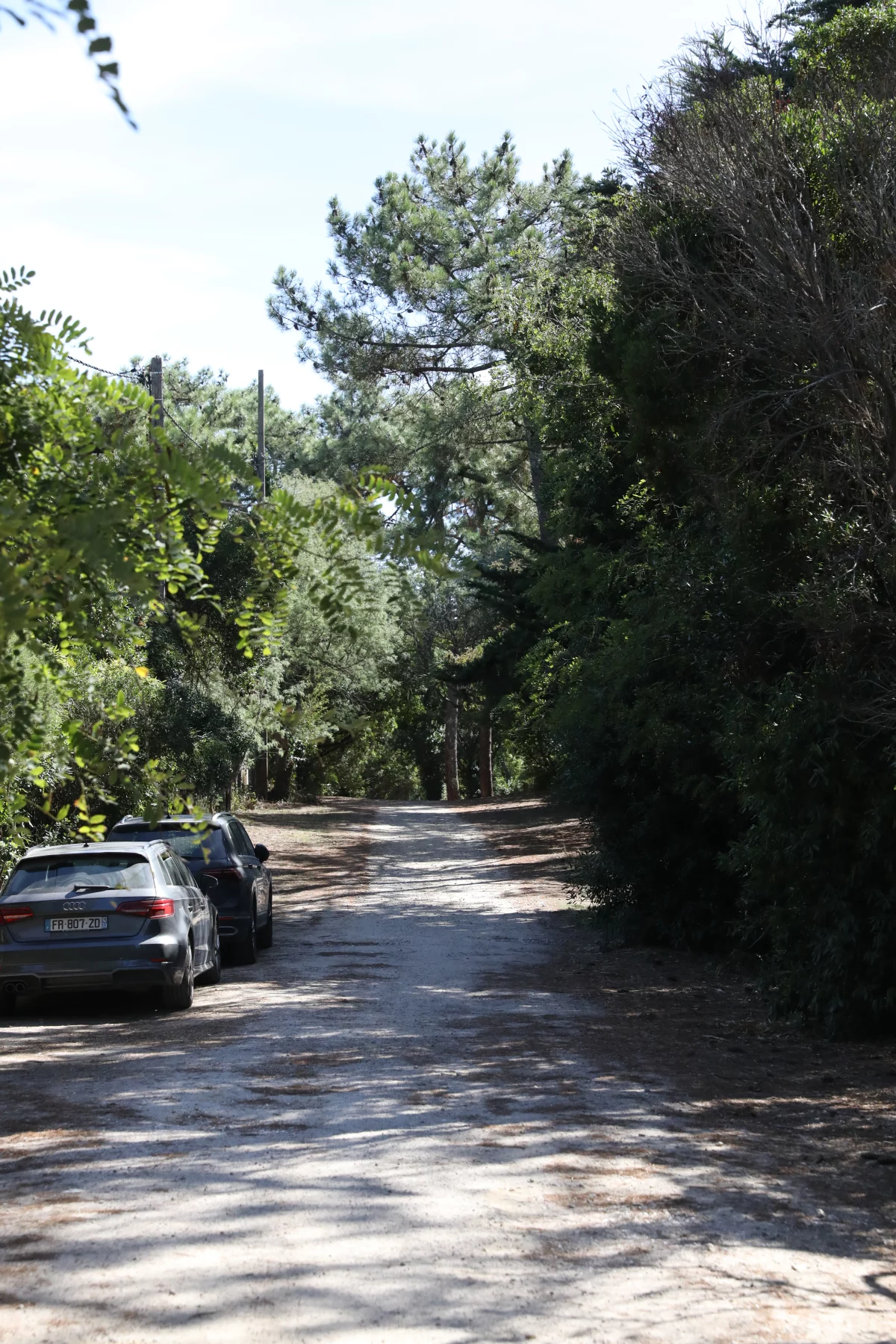 Zandpad tussen de pijnbomen in Les 44 Hectares op Cap Ferret
