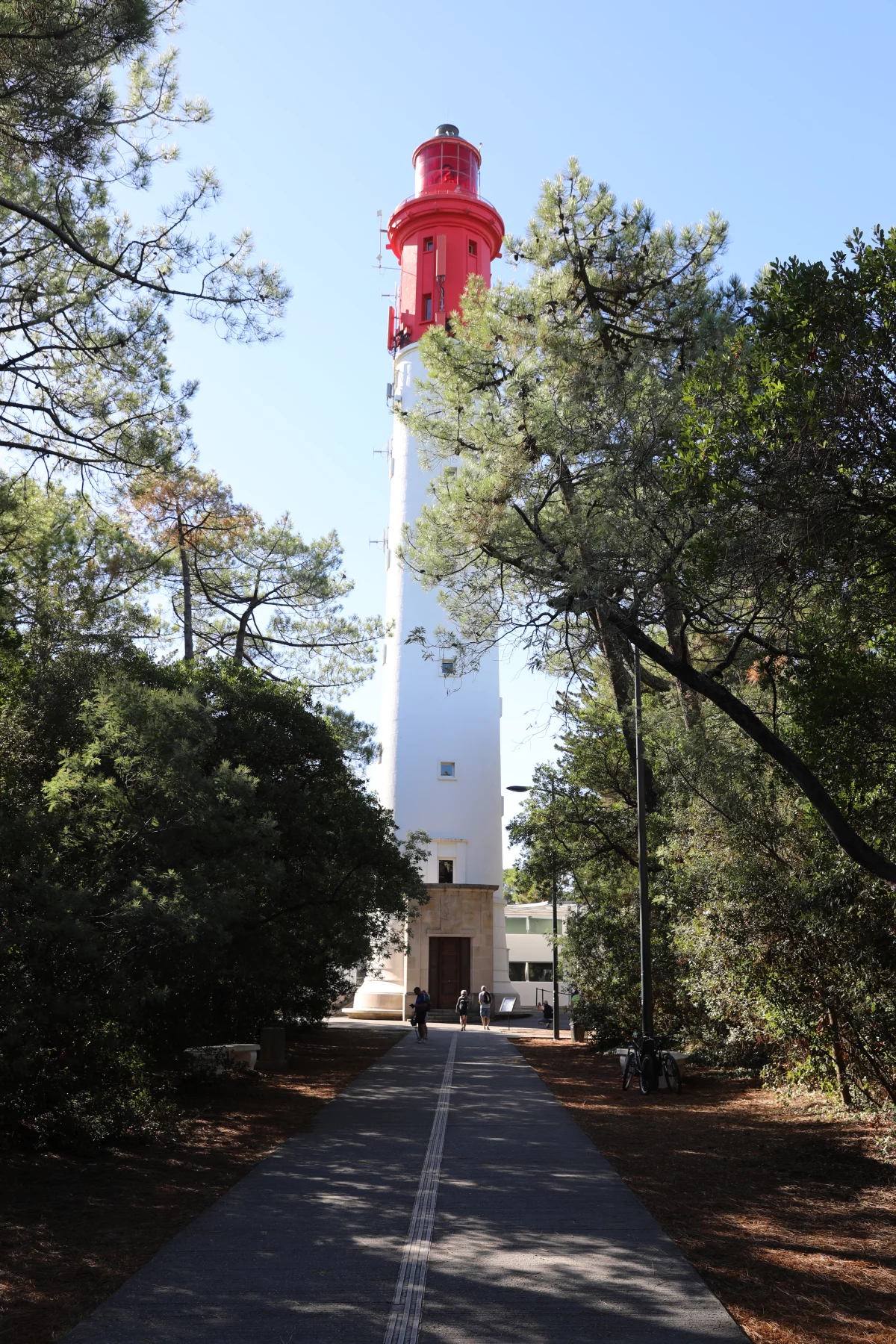 De vuurtoren Phare du Cap Ferret tussen de pijnbomen