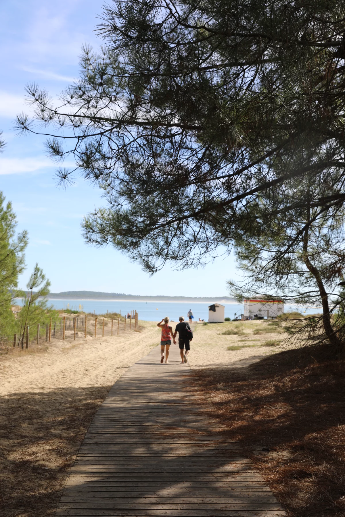 Pad door de pijnbomen richting het strand van Gatseau op Île d’Oléron