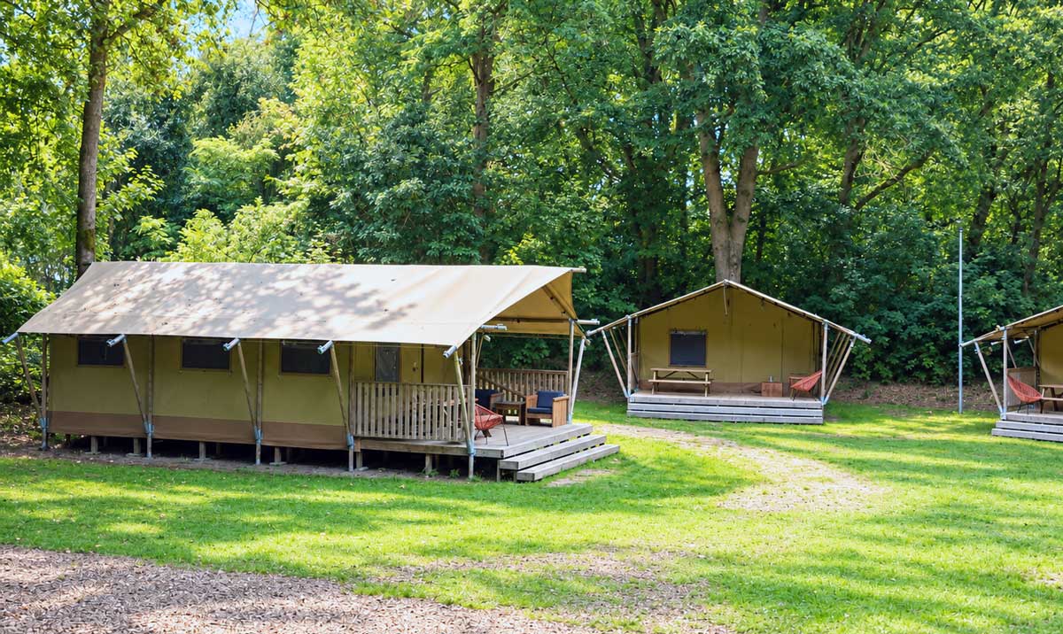 Safaritenten tussen de bomen op Glamping Gooise Heide