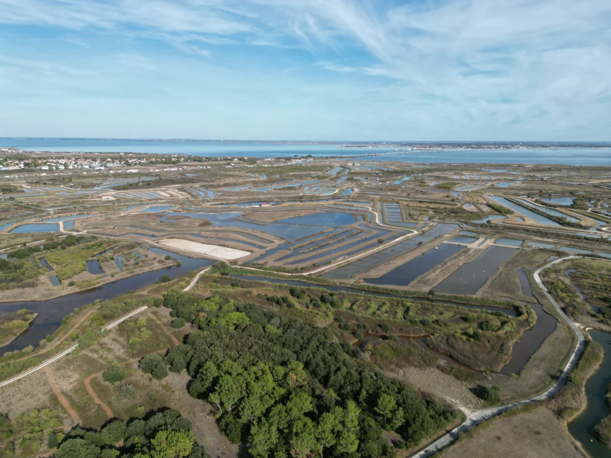 Luchtfoto van de zoutmoerassen en zoutbassins op Île d’Oléron