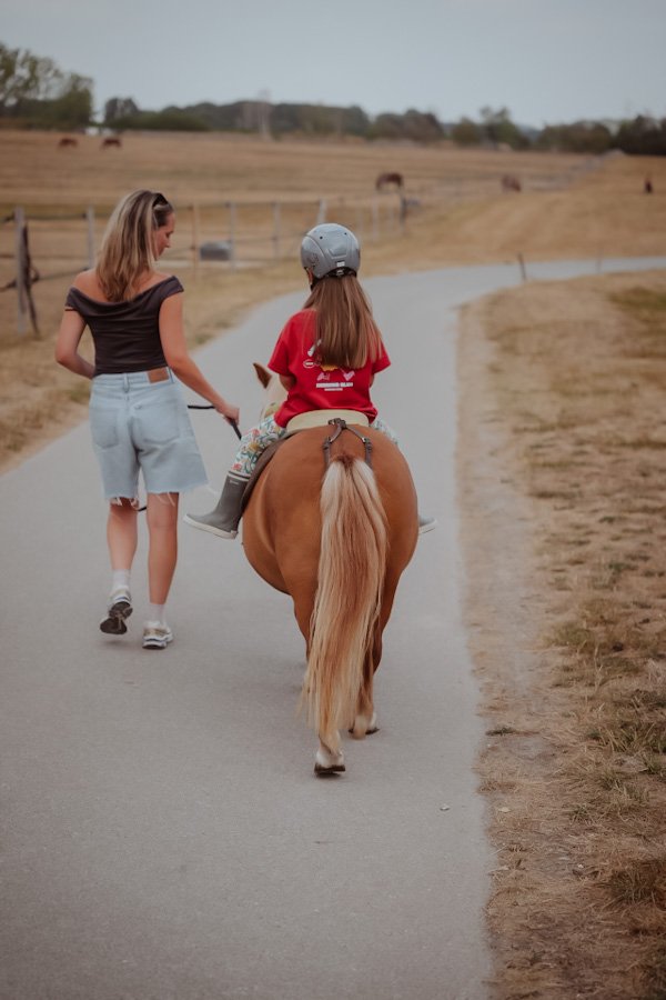 Ponywandeling met begeleiding bij Haras de La Cense