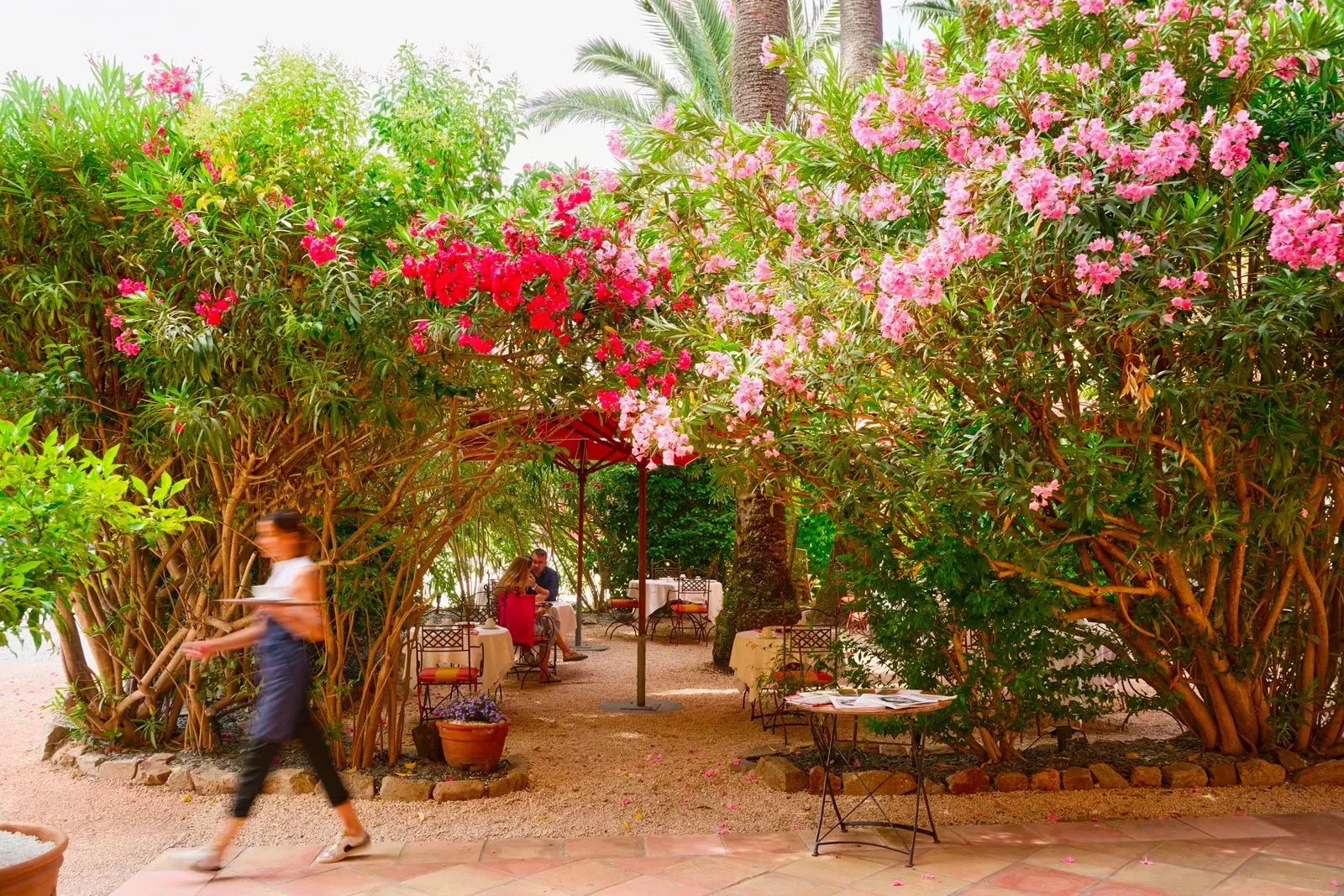 Bloeiende tuin met roze oleanders bij La Bastide du Port in Saint-Tropez