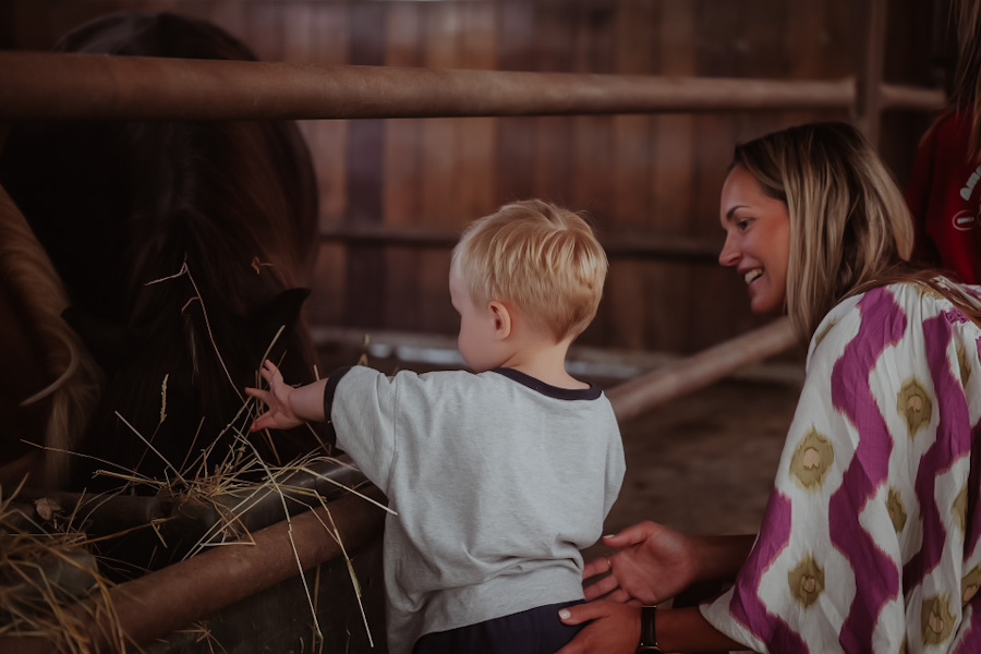 Een kind aait een paard bij Haras de La Cense