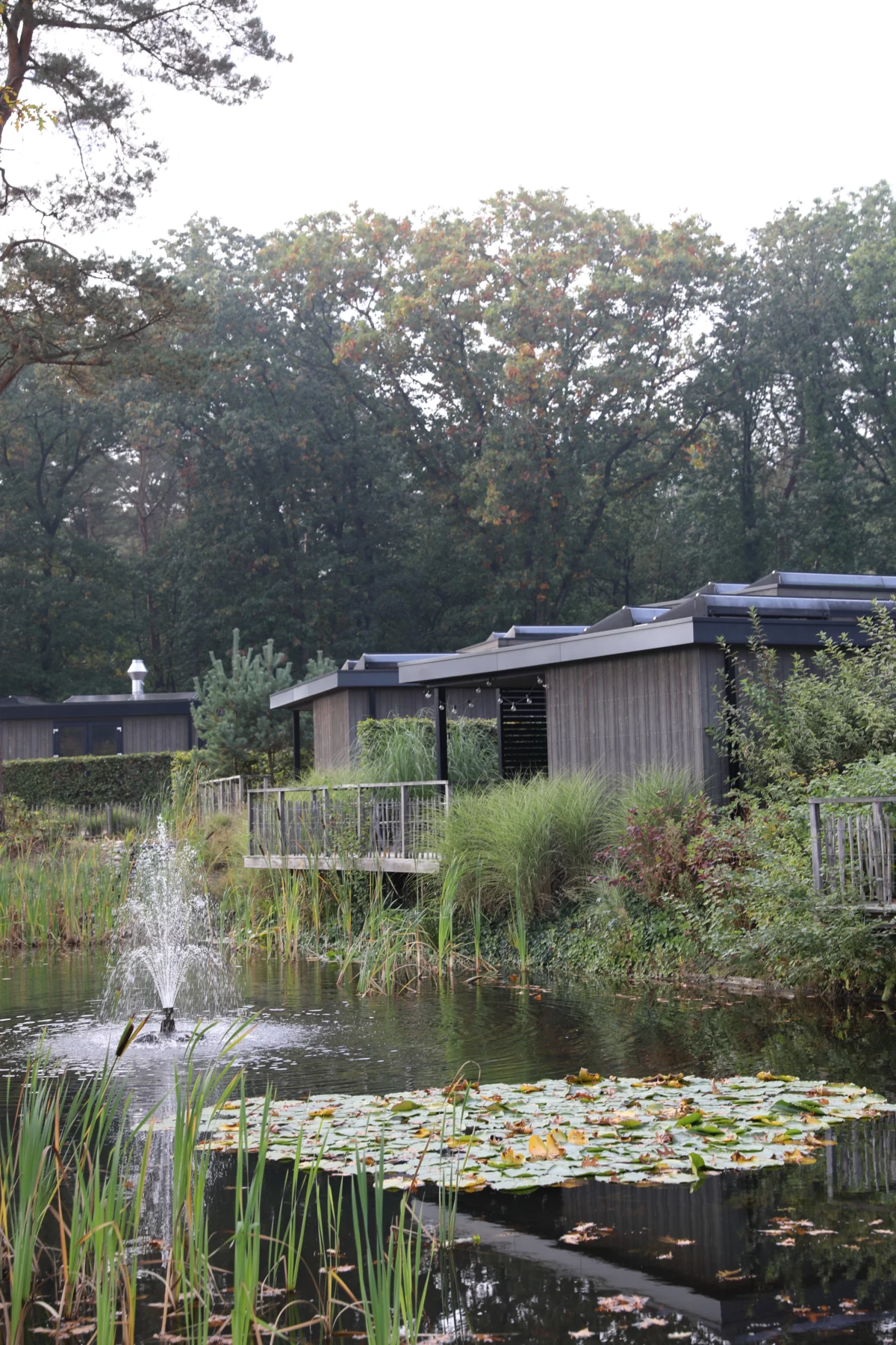Fontein en groene oevers op Soof Heuvelrug