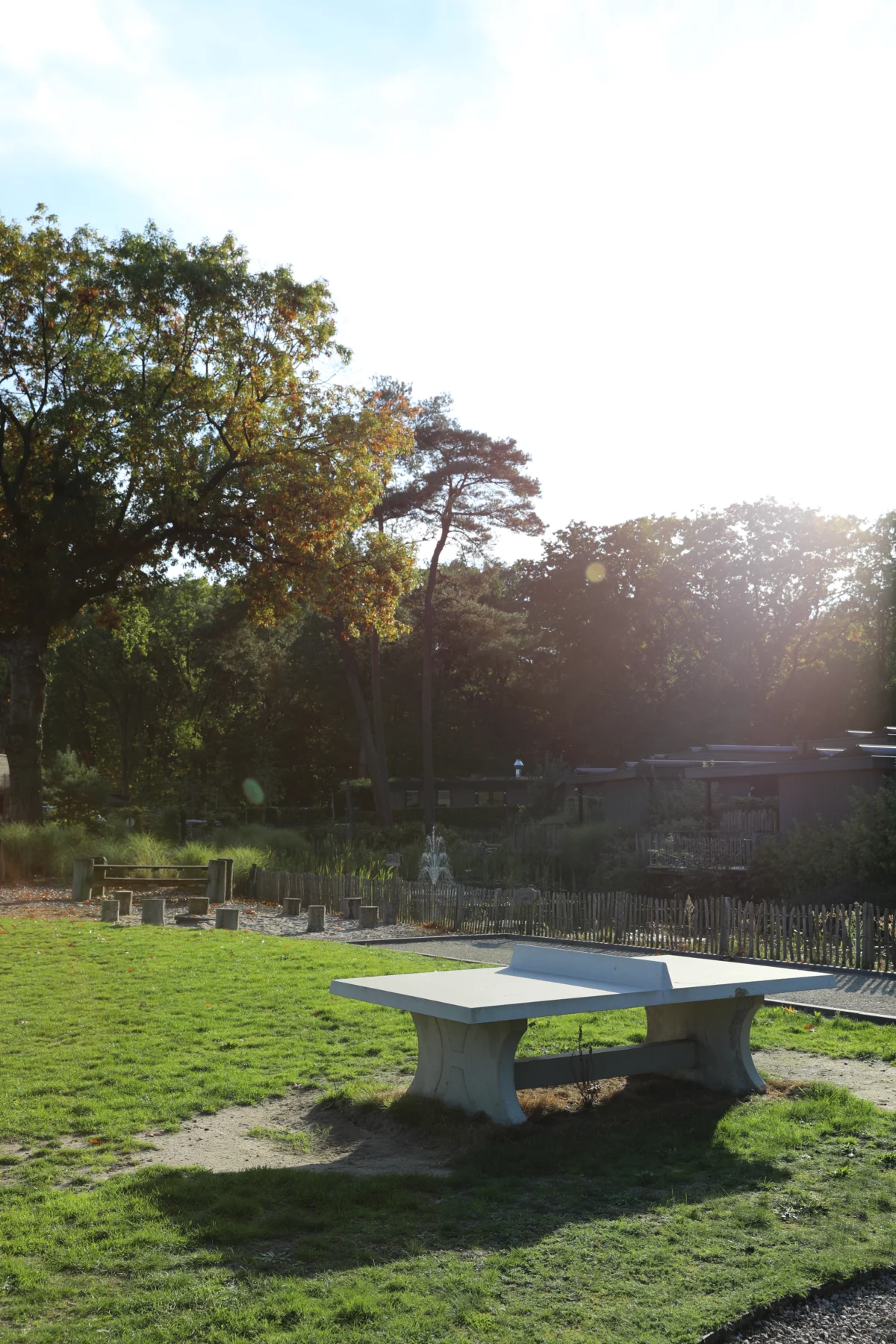 Picknickplek op het gras op Soof Heuvelrug